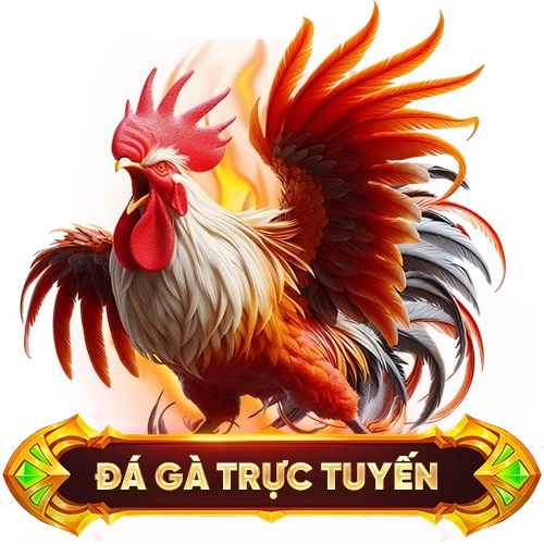 đá gà trực tuyến KUWIN